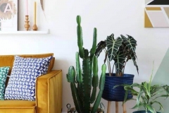 Livingroom-BrightColors-Plants-Patterns-OrganicDesign…